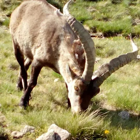 Apartment Casa Johana *