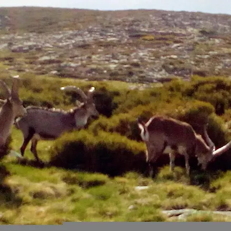 Casa Johana Apartment *