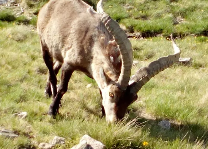 Apartamento Casa Johana *