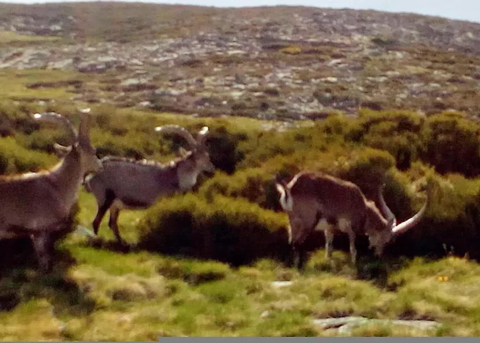 Casa Johana Apartamento *